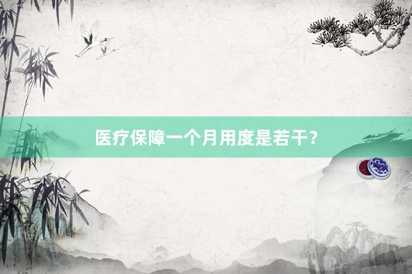 医疗保障一个月用度是若干？